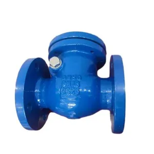 DIN PN16 Duction Cast Iron Body Flang Swing Non Return Check Valve thumbnail-6
