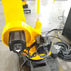 High Quality Automatic Case Carton Palletizer Robot for Wide Use thumbnail-4