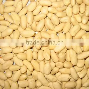 Chinese Blanched Kernels thumbnail-1