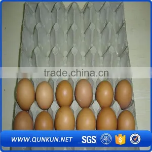 Hot Sale Molded Paper Pulp Eggs Tray thumbnail-2