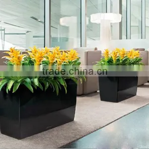 Soft Touch Leaves Artificial Rohdea Plant thumbnail-4