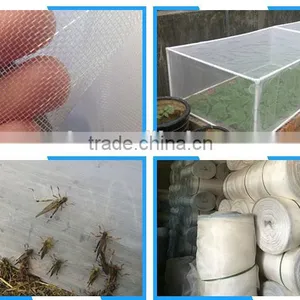 Anti Insect 50*25 Mesh to Chile thumbnail-2