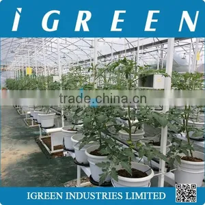 Dutch Pot Vegetable Growing System thumbnail-1
