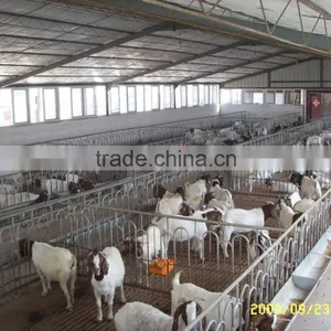 Steel Structure Horse House thumbnail-2