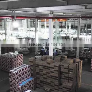 Guangzhou Champion Home Apliances Manufacturing Co., Ltd. company overview - view 2 thumbnail