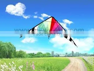 Dual Line Delta Stunt Kites - Curved Edge Kites thumbnail-1