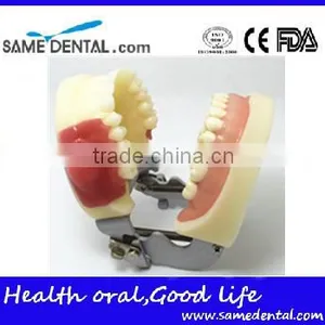 Dental Eduction Assistant No. DEA-04 thumbnail-1