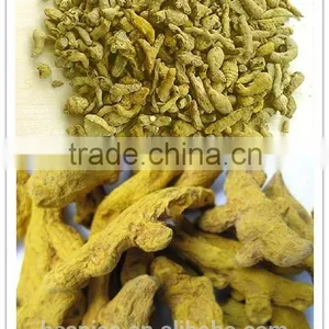 Dry Turmeric Finger thumbnail-2