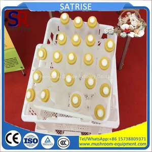 High and Top Quality Economical Price King Oyster Mushroom Plastic Bottles thumbnail-3