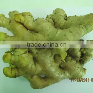 Ginger Price thumbnail-1