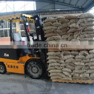 Bulk Fresh Chestnut for Sale thumbnail-2
