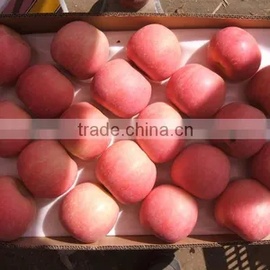Fuji Apple thumbnail-1