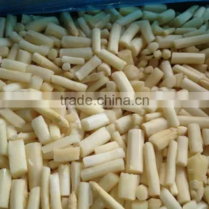 IQF Asparagus White and Green Tips and Cuts thumbnail-2