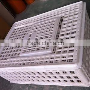 Solid Plastic Pigeon Transport Cage thumbnail-4
