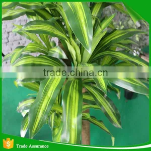Nearly Natural Corn Stalk Dracaena Decorative Silk Plant thumbnail-4