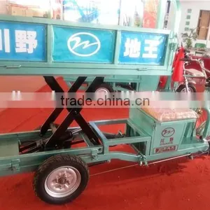 650W Farming Electric Cargo Box Tricycle for Orchard Grove thumbnail-3
