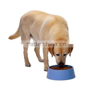 Various Types for Making Dog Food thumbnail-6