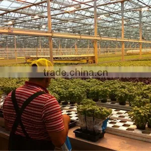 Multi Span Greenhouse Agricultural Vegetable Greenhouse thumbnail-1