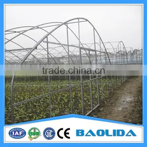 Galvanized Pipes Steel Structure 8m/9m/10m Greenhouse For Tomato thumbnail-1