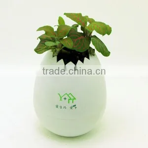 2015 Novelty Garden Flower Pot thumbnail-6