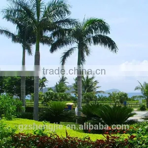 LXY080513 Large Outdoor Decoration Artificial Coconut Palm Trees Big Plastic Palm Tree thumbnail-1