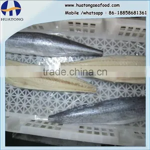 A Grade Quality Frozen Spanish Mackerel Fillets thumbnail-1