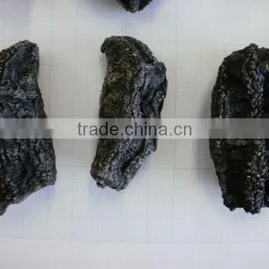 Sea Cucumber , Hokkaido , Japan , High Quality thumbnail-1