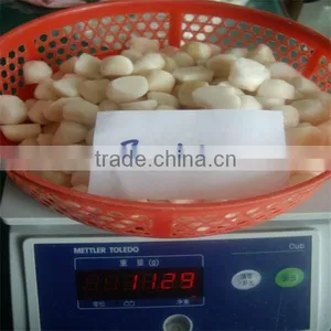 High Quality Frozen Bay Scallops(80-100) thumbnail-1
