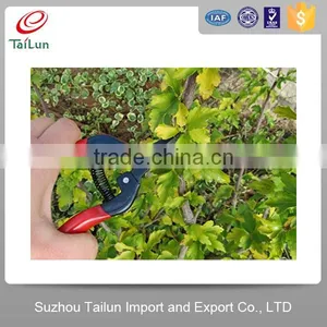 Garden Pruning Shears/carbon Steel Scissor/grape Scissors Pruning Shears thumbnail-2