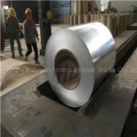 Galvanized Aluminum Steel thumbnail-1