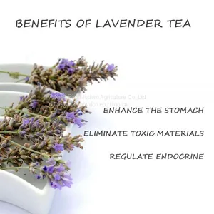 Improve Sleep Lavender Flower Herbal Tea thumbnail-1