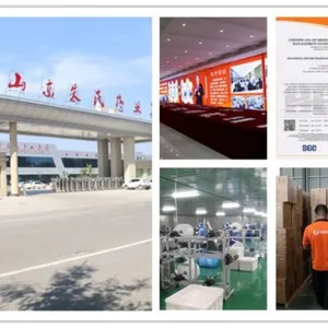 Shandong Zhushi Pharmaceutical Group Co.,Ltd company overview - view 1 thumbnail