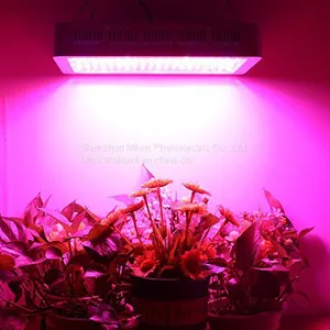 Full Spectrum LED Grow Lights 1000watts for Plant Factory City Farming thumbnail-2