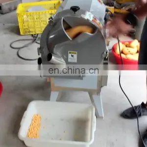Automatic Onion Shredder Machine Carrot Cucumber Slicing Machine Lemon Dicing Machine thumbnail-1