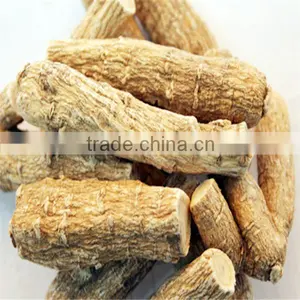 Large /Medium/Small Authentic American Ginseng Roots thumbnail-4