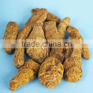 Organic Good Quality of Natural Notopterygium Oil 99% Root Oil thumbnail-5