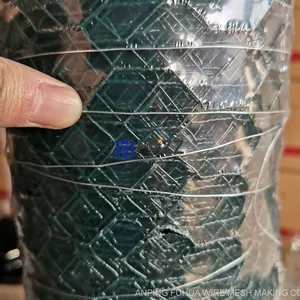 PVC Coated Hexagonal Wire Mesh, Plasticized Hexagonal Metal Mesh, Long-Lasting Wire Fencing for Poultry and Animals thumbnail-1