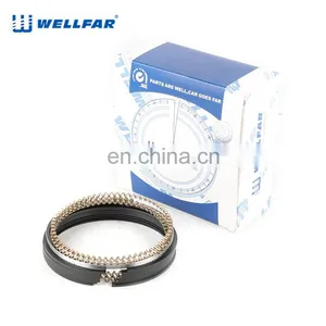 2M6196 Wellfar VG30E 87mm Japanese Piston Rings For Nissan 2960cc 3.0L VG30E SOHC thumbnail-5