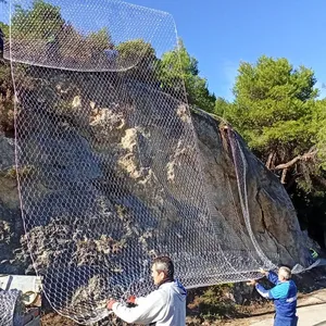 Galvanized Double Twist Steel Mesh Grid Structure Reinforced Mesh for Coastal Rockfall Protection Netting thumbnail-4