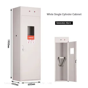 Intelligent Gas Cylinder Cabinet for Semiconductor Fabs, Standard Gas Leak Alarm & Automatic Exhaust System, OEM/ODM Supported thumbnail-1