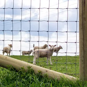 Hinged Joint Field Fence for Farm Livestock Sheep Wire Fencing Galvanized Wire Mesh Fence for Cattle Horse Sheep thumbnail-6