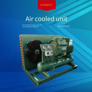 Pork Freezing Cold Storage, Borun Refrigeration Fruit and Vegetable Preservation Cold Storage Equipment, 20 hp 4vd - 20.2, Reliable and Worry - Free Cold Air Blower Cold Storage thumbnail-5