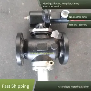 Stainless Steel Cng Decompression Station, Gas Pressure Regulating and Metering Device, Natural Gas Metering and Pressure Regulating Cabinet thumbnail-1