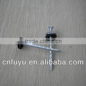 Sprial/smooth Roofing Nail With Pvc Washer Factory thumbnail-1