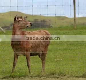 Re-used Deer Plastic Fence Products is Very Popular thumbnail-3