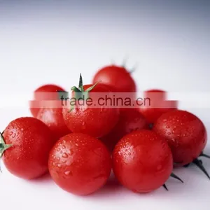 Multifunction Fruit Size Sorting and Grading Machine thumbnail-2
