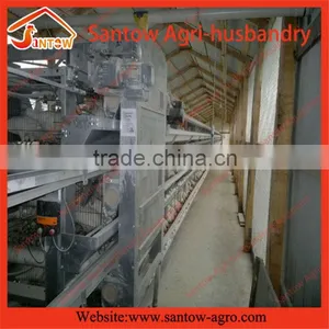 Stable Steel Structure Chicken Egg Layer Cage Poultry Farm Construction Design thumbnail-5