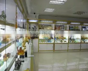 Shenzhen City Tianzhijiao Art-Crystal Co., Ltd. company overview - view 1 thumbnail
