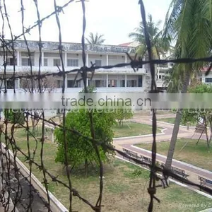 Hot Dipped Galvanized and Powder Coating Barbed Wire Hot Sale thumbnail-5