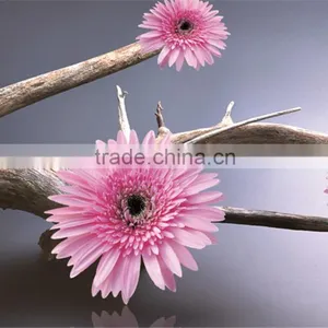 Beautiful Flower Design Colorful UV-print Clear Table Mat thumbnail-3